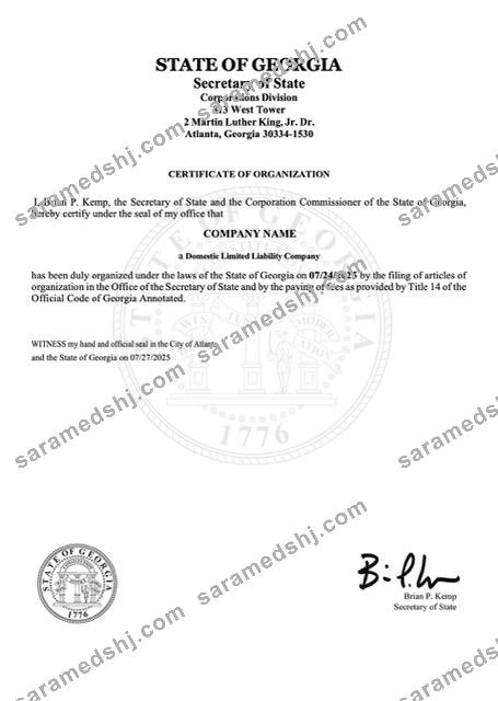 USA Georgia certificate of organization Word and PDF template